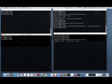 Host of Troubles: General cache poisoning attack against Squid