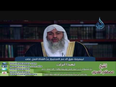  لهذا أنزلت 9 ثُمَّ أَفِيضُواْ مِنْ حَيْثُ أَفَاضَ النَّاسُ | الشيخ مصطفي العدوي 