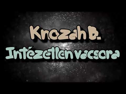 Knozah B. - Intézetlen vacsora (Intézetlen számla Paródia)