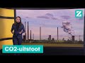 Betalen voor Co2-uitstoot: vervuilen wordt voor grote bedrijven steeds duurder • Z zoekt uit