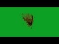 Blood Splat 01 Green Screen Chroma Key Effects AAE