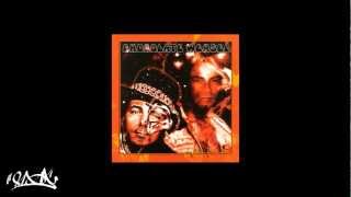 Chocolate Weasel - Music For Body Lockers
