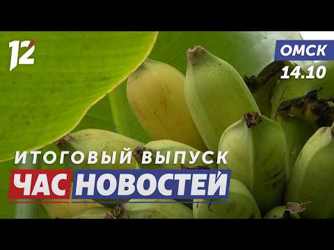Бананы в Сибири / Агрессивные собаки / Платные парковки. Новости Омска