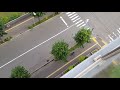 Japan Angry Birds Attacking Walkers In The Street