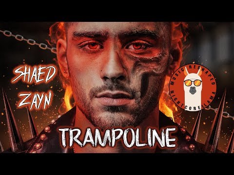 SHAED x ZAYN - Trampoline (Lyrics) | Official Nightcore LLama Reshape
