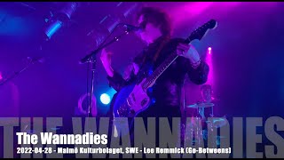 The Wannadies - Lee Remmick (Go-Betweens) - 2022-04-28 - Malmö Kulturbolaget, SWE