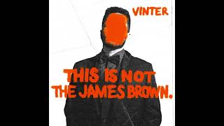 Vinter - This Is Not James Brown (Extended Mix)