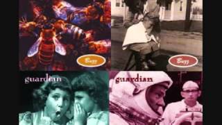 Guardian   The Lions Den