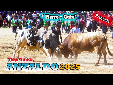 ANZALDO 2025- Toro Tinku, Encuentro "Fierro-Gato". (Video Oficial) de ALPRO BO