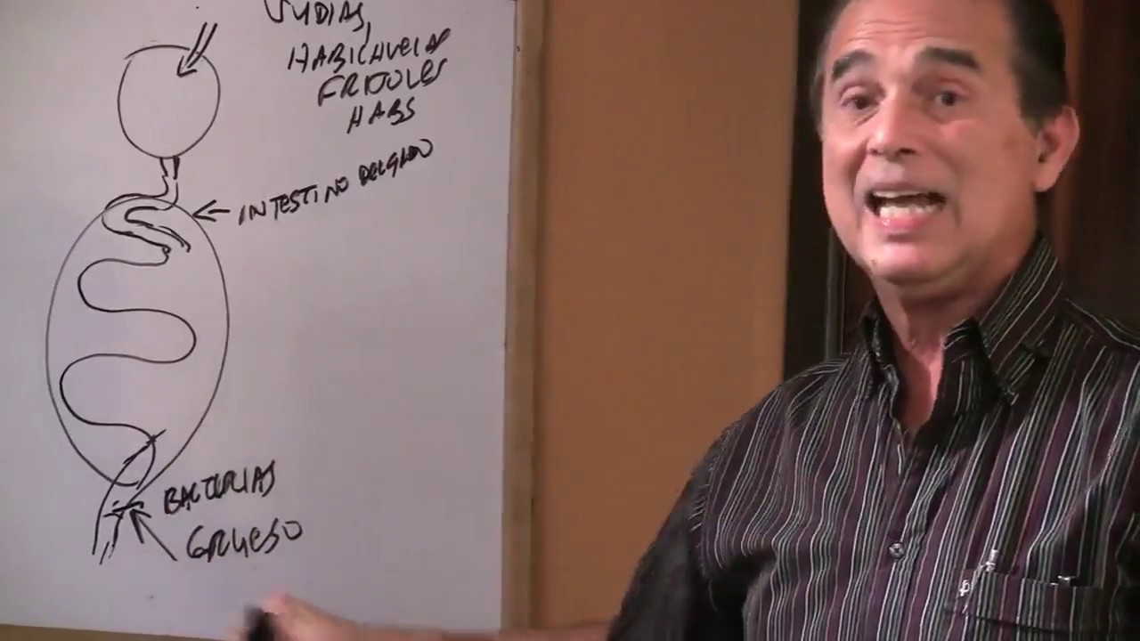 Watch Episodio #472 Las flatulencias un problema antisocial Now Episodio #472 Las flatulencias un problema antisocial