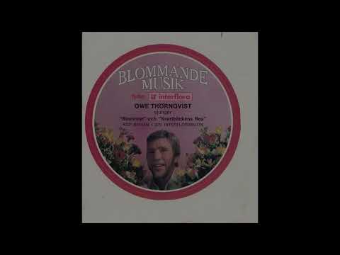 Owe Thörnqvist - Svartbäckens Rödaste Ros