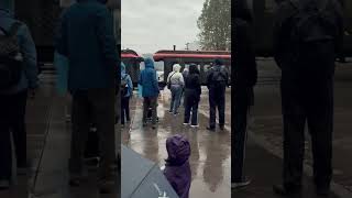 #alaskacruisevlog #travel #celebritycruises #cruiseline #cruise #cruiseship #relaxing #nature