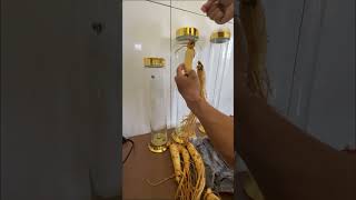Download lagu Botol Yang sudah nganggur bertahun-tahun akhirnya terpakai Dan diisi Si spesial “Gingseng” mp3 Download lagu Botol Yang sudah nganggur bertahun-tahun akhirnya terpakai Dan diisi Si spesial “Gingseng” mp3