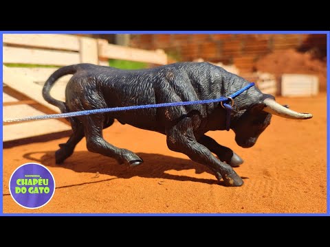 INCRÍVEL FAZENDINHA CHAPÉU DO GATO #chapeudogato