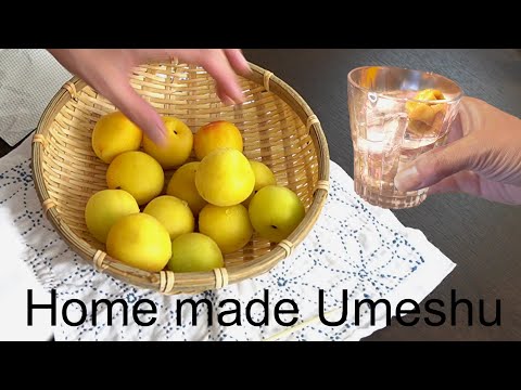 梅酒の作り方　Home made Umeshu(Ume plum wine)
