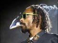 Snoop Lion- Rebel Way Lyrics 
