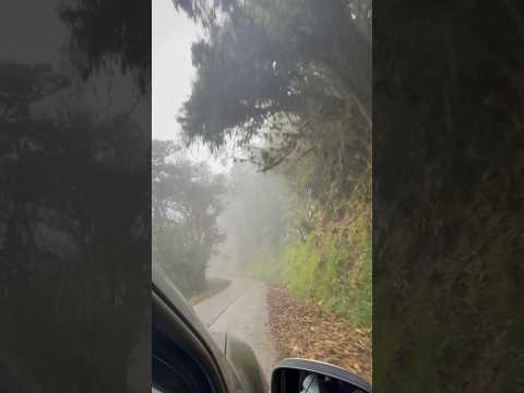 Los Páramos entre San José de Bolívar y El Rosal. Parque Nacional  Batallón y La Negra.Táchira. 🇻🇪