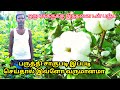 பருத்தி சாகுபடியில் இவ்ளோ வருமானமா Cot
