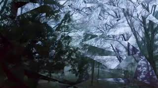 March 11, 2018 Storm (wind damage)