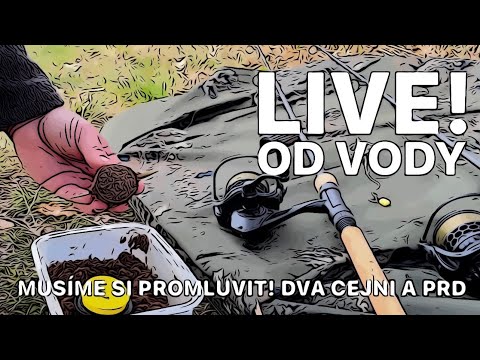 LIVE! Od vody - Musíme si promluvit! Chytáme kapry online!