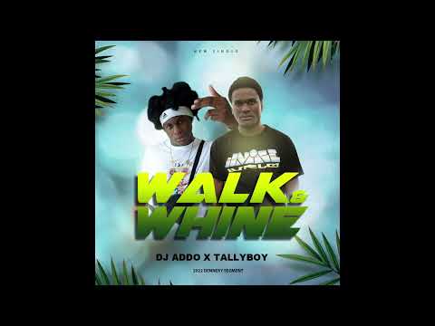 DJ Addo x Tallyboy - Walk & Whine ( St.Lucia Soca ) 2022