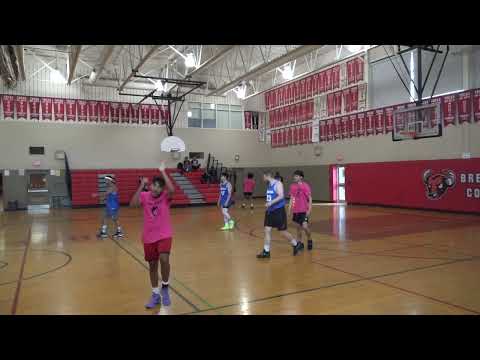 Jokers (42) tier 11 - 2023 SUMMER Honey Huskies (77) - tcbl sunday