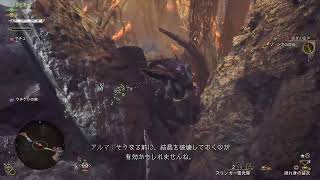 [MHWS]アプデきたのでサクッとミツネ