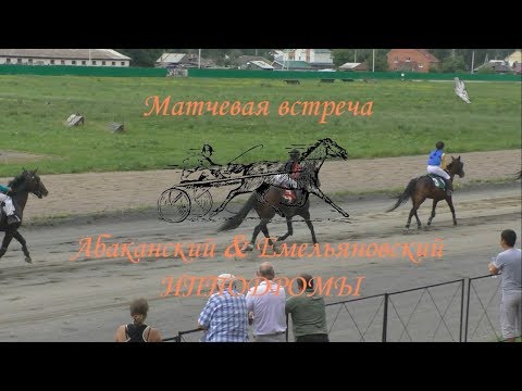 Матчевая встреча Абакан-Емельяново. 29.07.2017 - Заезд рысью под седлом, 2400 м.