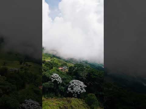 Páramo de la Pueblita, Aricagua estado Mérida  #turismo #turismovenezuela #conocevenezuela