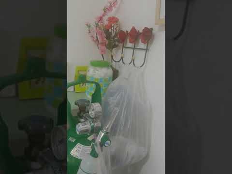 Apresentando Dona Geralda em seu cantinho de amor