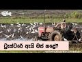 balumgala-05-05-2017