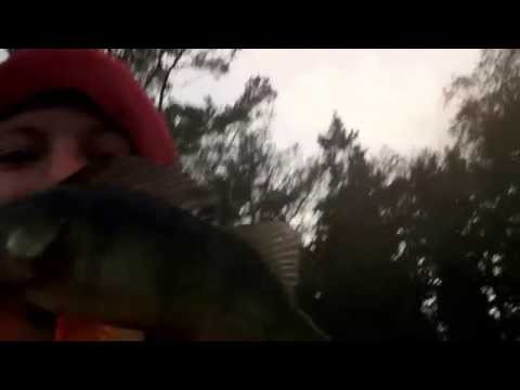 Vrfiske efter Aborre p Grs Ocj Fishing