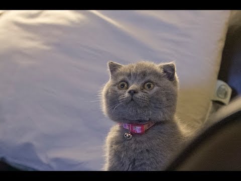 Boxing time with Blu