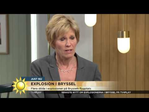 Ann Tiberg: ”Bryssel är nu paralyserat” - Nyhetsmorgon (TV4)