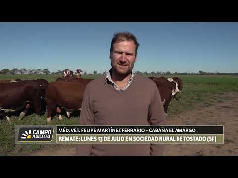 GRAN REMATE DE CABAÑA EL AMARGO: LUNES 13 DE JULIO EN LA RURAL DE TOSTADO (SANTA FE)