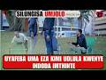 Uyafeba Uma Eza Kimi Udlula Kwenyeindoda Imthinte SILUNGISA UMJOLO EP 244