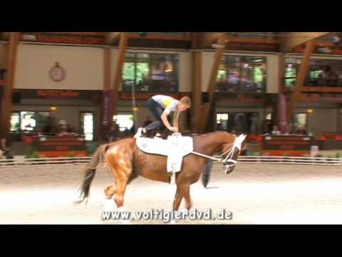 Florian Grill (AUT) - Male 08 - FEI Junior EC Le Mans 2016