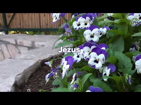 OPwekking 422 U wil ik kennen