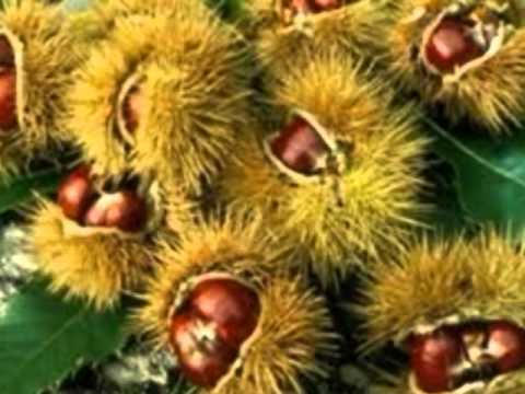 Tormentone Autunno 2014 Part  2