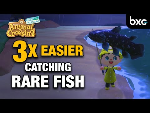 How to catch Rare Fish easy | How to increase your Fishing Success | Animal Crossing New Horizons