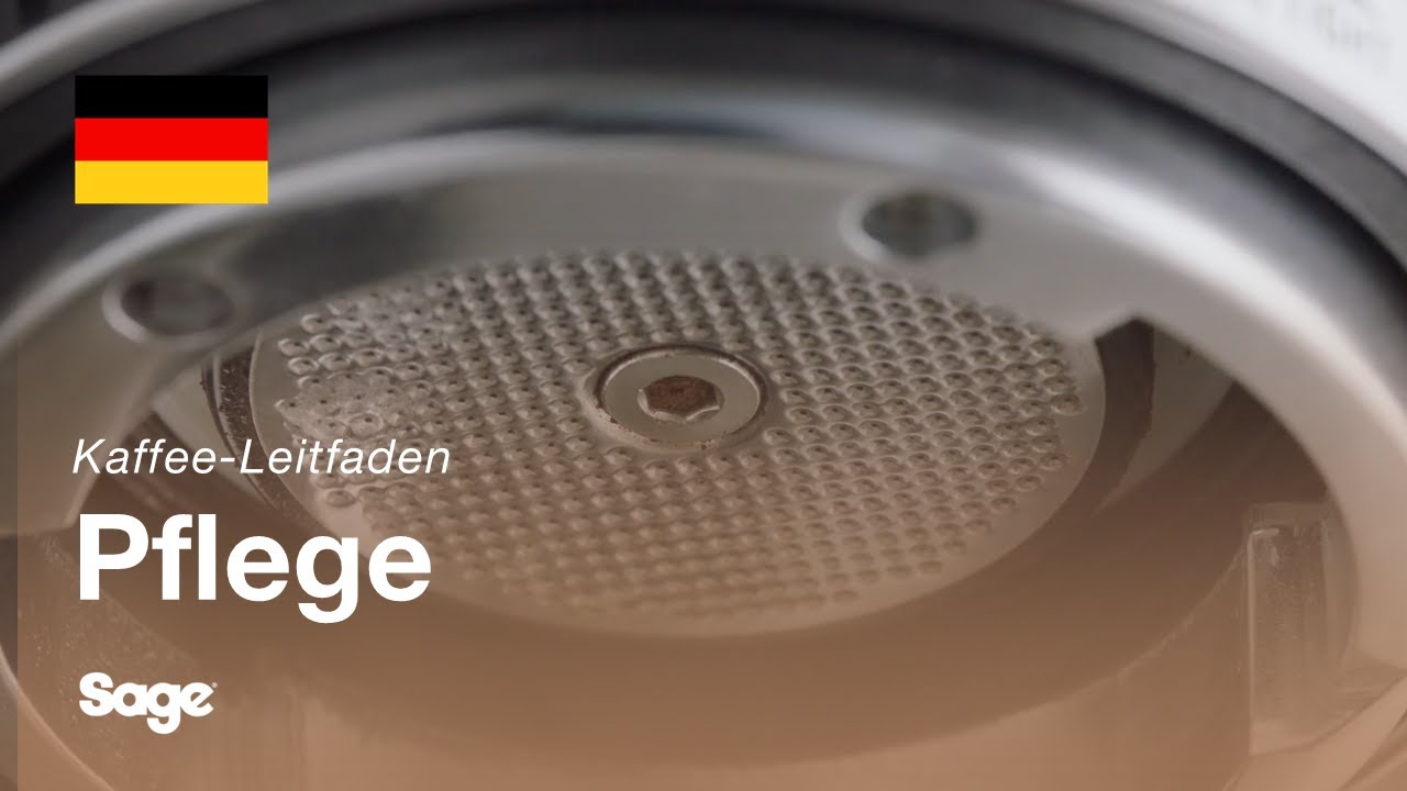 Reinigung der Dusche