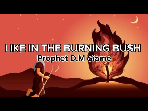 Prophet DM siame - Like in burning bush(lyrics).@prophetdmsiameministries 