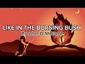 Prophet DM Siame Like In Burning Bush Lyrics Prophetdmsiameministries