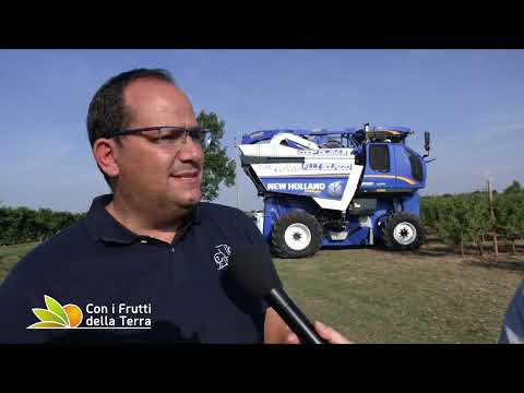 A Cielo Aperto 4 9 2022 p4