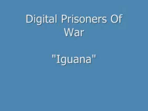 Digital Prisoners Of War- Iguana