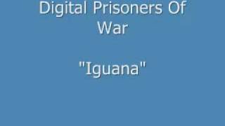 Digital Prisoners Of War- Iguana