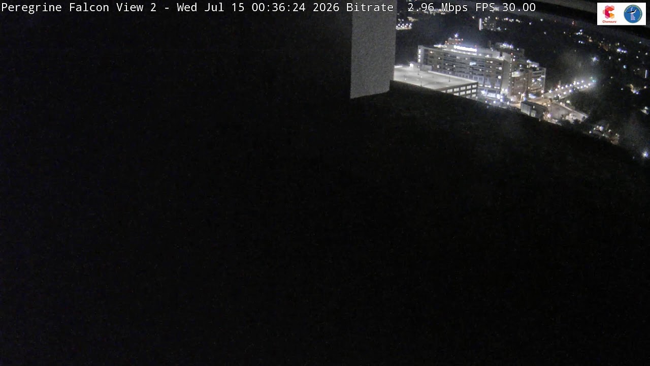 Live webcam view of Brandywine Building Falcon Nest