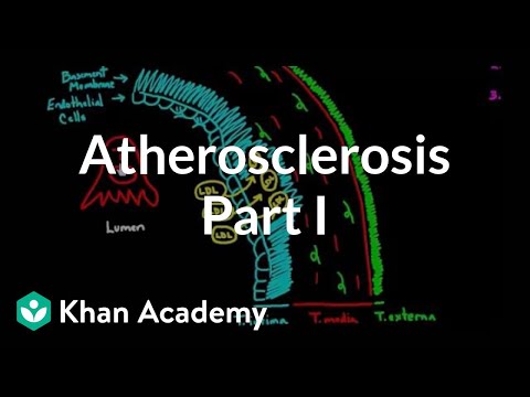 Atherosclerosis - part 1 | Circulatory system diseases | Health & Medicine | Khan Academy