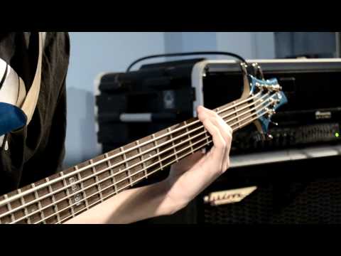 Dream Theater - This Dying Soul (Bass cover by Luismi Heredia).