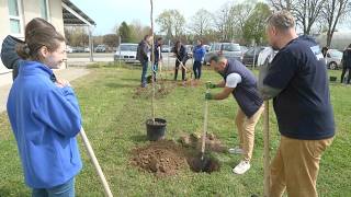 Környezetszépítő dolgozók